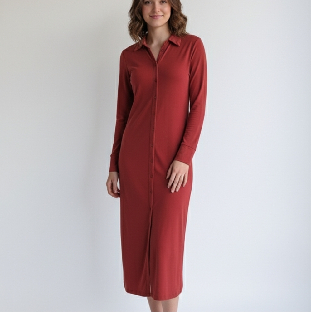 Dynamite rust orange long sleeve button down maxi dress